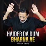 Haider Da Dum Bharna Ae artwork