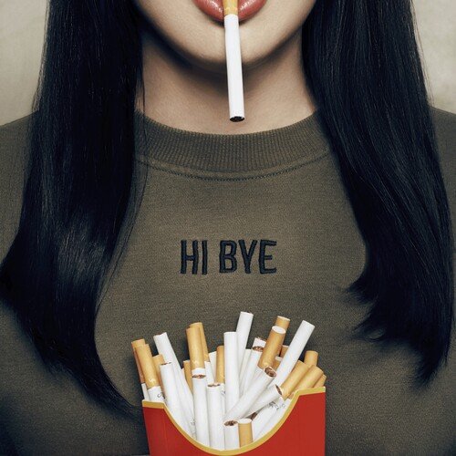 Hi Bye_poster_image