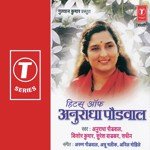 Nishana Tula Disla Na - Song Download from Hits Of Anuradha Paudwal ...