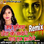 Jab Duniya Chod Ke Jayenge - Remix