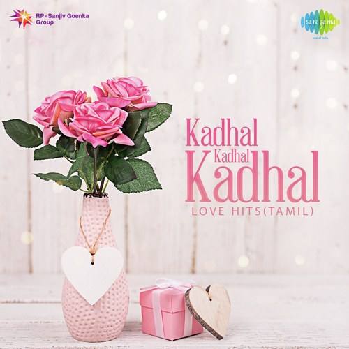 Kadhalae Kadhalae (From "Aadhalal Kadhal Seiveer")