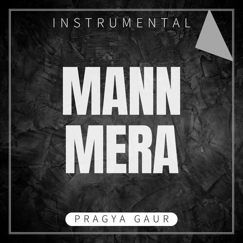 Mann Mera (Instrumental)-okv tunes