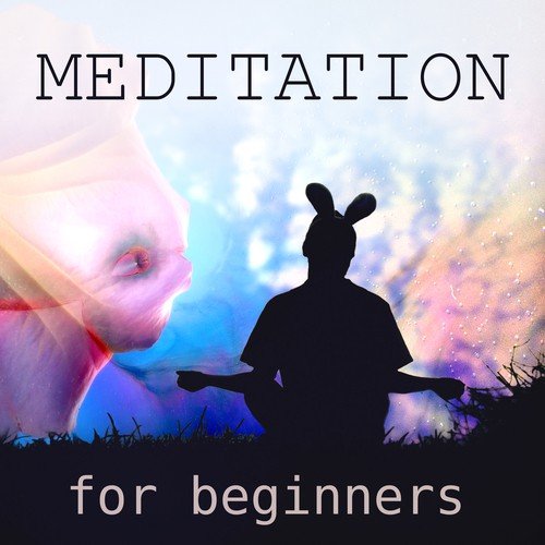 Zen Relaxation Music