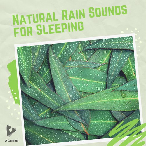 Rain Fueling Roots cover art
