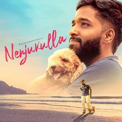 Nenjukulla oru Sogamilla-NQwaAzNEdgs