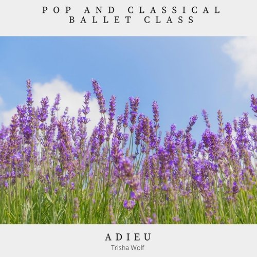 Pop and Classical Ballet Class: Adieu_poster_image