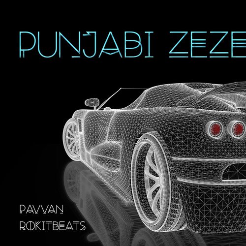 Punjabi Zeze_poster_image