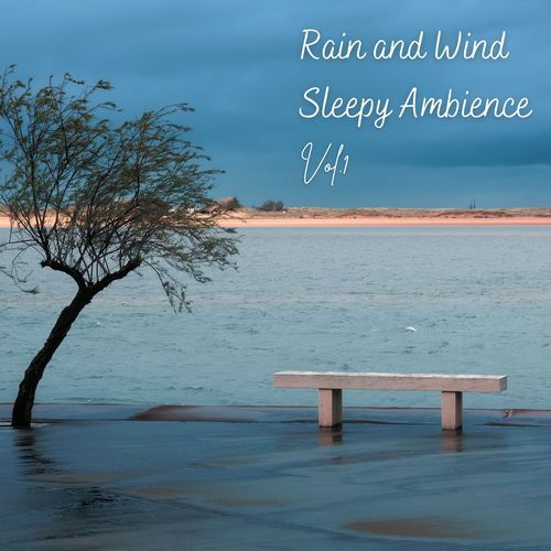 Rain and Wind Sleepy Ambience Vol. 1_poster_image