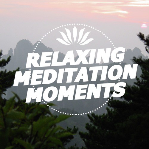 Relaxing Meditation Moments