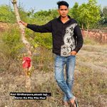 Sarso Ka Pila Pila Fhul