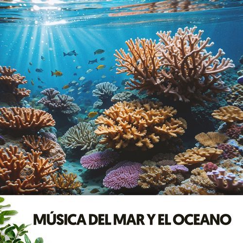 Sonidos del Oceano y el Mar: Melodías que acarician tu alma_poster_image