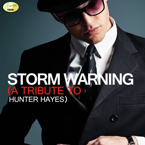 Storm Warning A Tribute To Hunter Hayes Songs Download Free Online Songs Jiosaavn