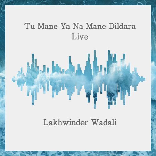 Tu Mane Ya Na Mane Dildara