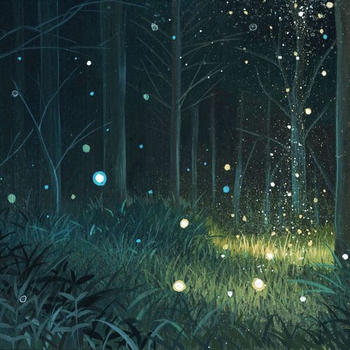 Under Patopia's Skies