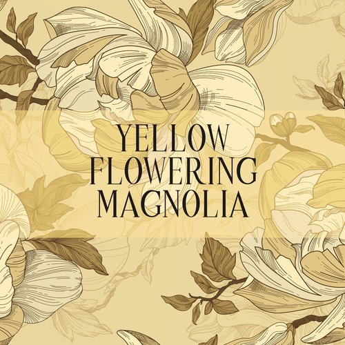 Yellow Flowering Magnolia: Chinese Beautiful Instrumental Guzheng Music (Flowing Water, Rain, Birds)_poster_image