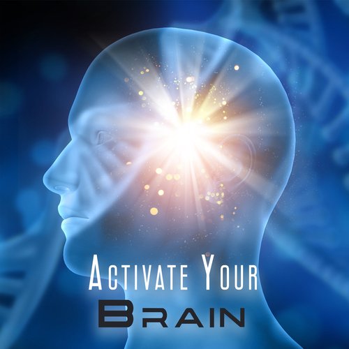 Activate Your Brain: Concentration Boost, Ambient Study Music