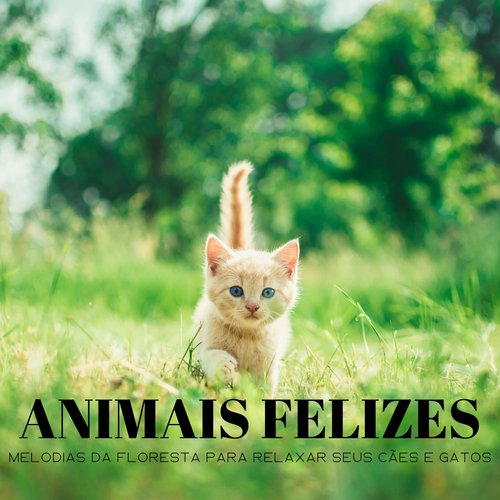 Matthew, O Gato E Luis, O Cachorro cover art