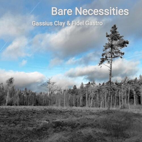 Bare Necessities cover art