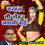 Charhal Chhao Tohar Jawani Gai