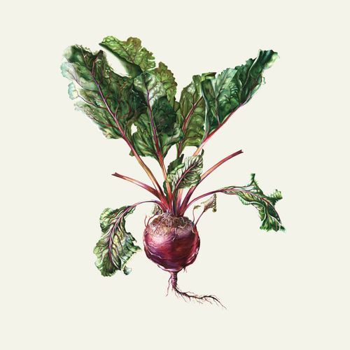 Na straganie cover art