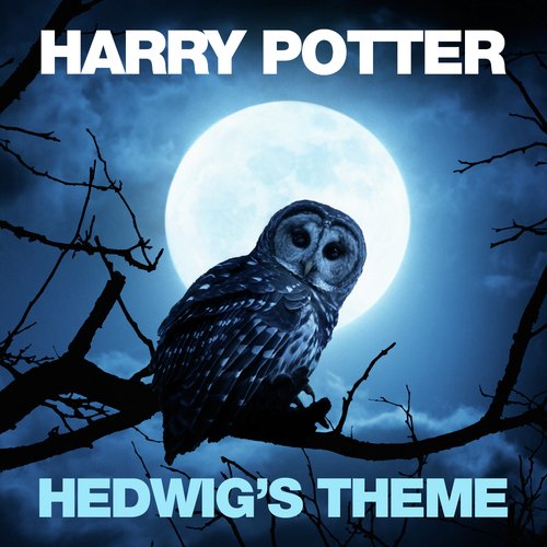 Hedwig's Theme (From "Harry Potter And The Philosopher's Stone")