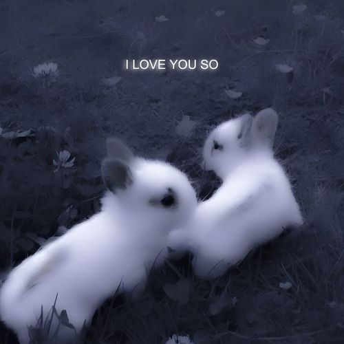 I LOVE YOU SO (Hardcore)