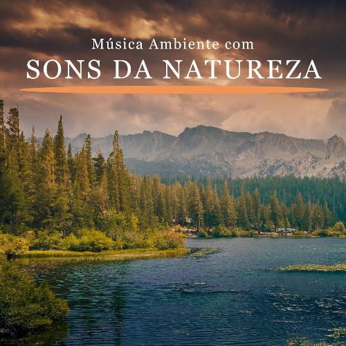 Música Ambiente Com Sons de Chuva Tranquila cover art