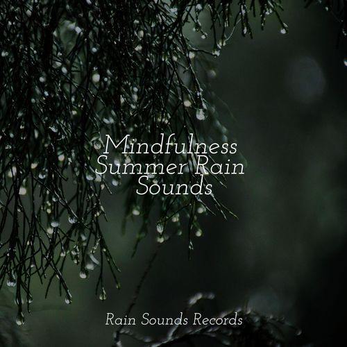 Mindfulness Summer Rain Sounds