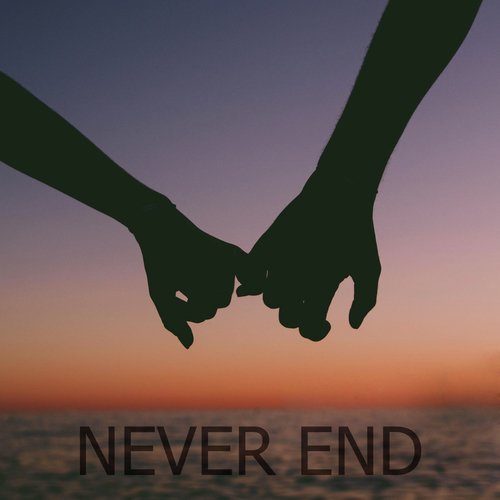 Never End_poster_image