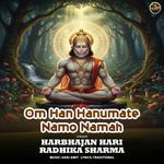 Om Han Hanumate Namo Namah
