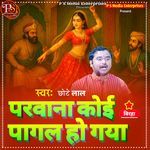 PARWANA KOI PAGAL HO GAYA