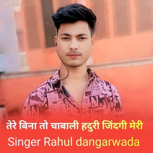 तेरे बिना तो चाबाली हदुरी जिंदगी मेरी