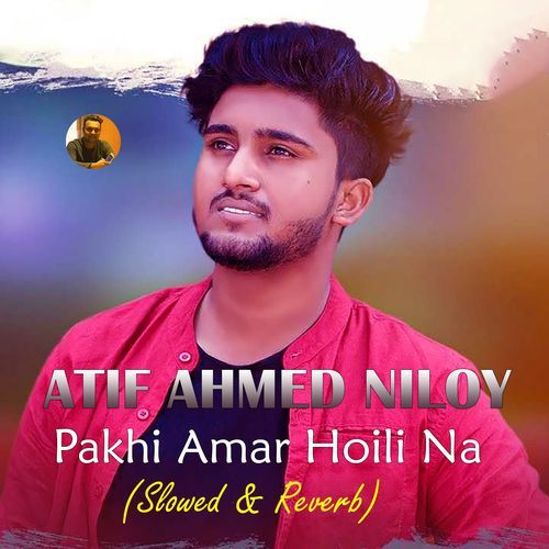 Pakhi Amar Hoili Na (Slowed & Reverb)