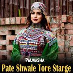 Jenai Par Cha Mayena Ye