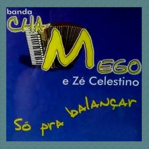 Só quero vaneirão - BANDA CHAMEGO cover art