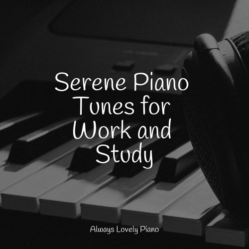 Serene Piano Tunes for Work and Study