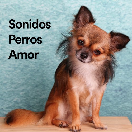 Sonido Para Perro Mueve la Cabeza cover art