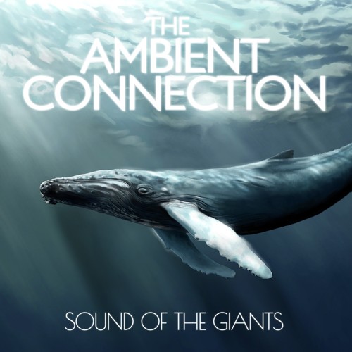 The Ambient Connection