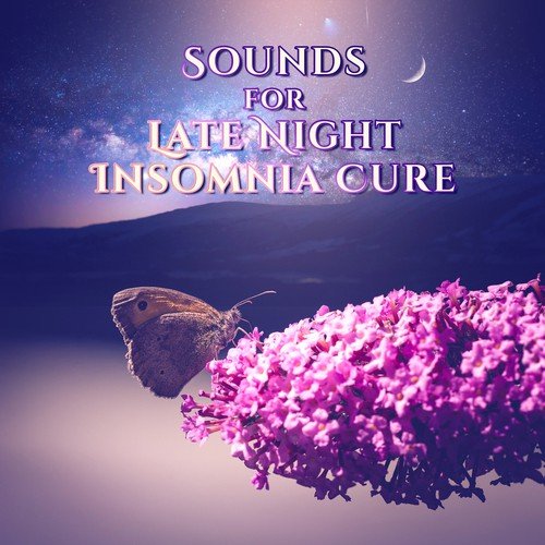 Sounds for Late Night Insomnia