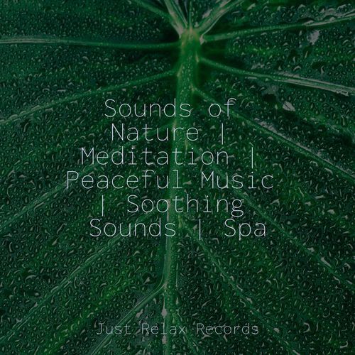 Melodic Immersion Waltz cover art
