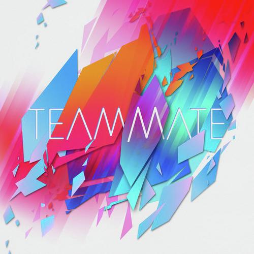 TeamMate_poster_image