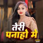 Teri Panaho Me