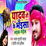 Yadav Ji Ke Bhainsa Bhadak Gail