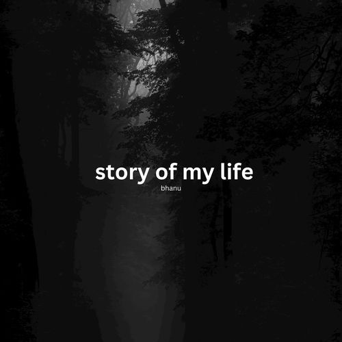 story of my life_poster_image