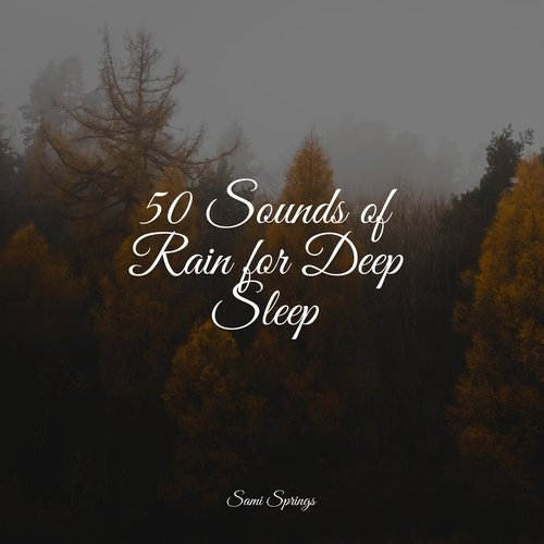 50 Sounds of Rain for Deep Sleep_poster_image