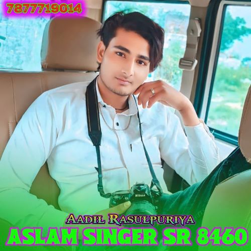 ASLAM SINGER SR 8460