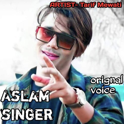 Aslam singer mewati song