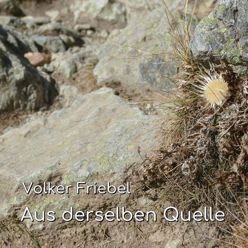 Aus derselben Quelle cover art
