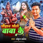 Chauhan Bhole Baba Ke