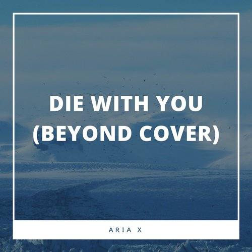 Die With You (Beyonce Cover)_poster_image